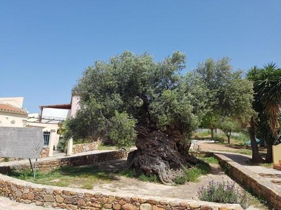 Villa Margarita'S Farm, Private Pool Maláthiros Exteriér fotografie